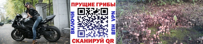 блэк спрут вход  Билибино  Псилоцибиновые грибы ЛСД 